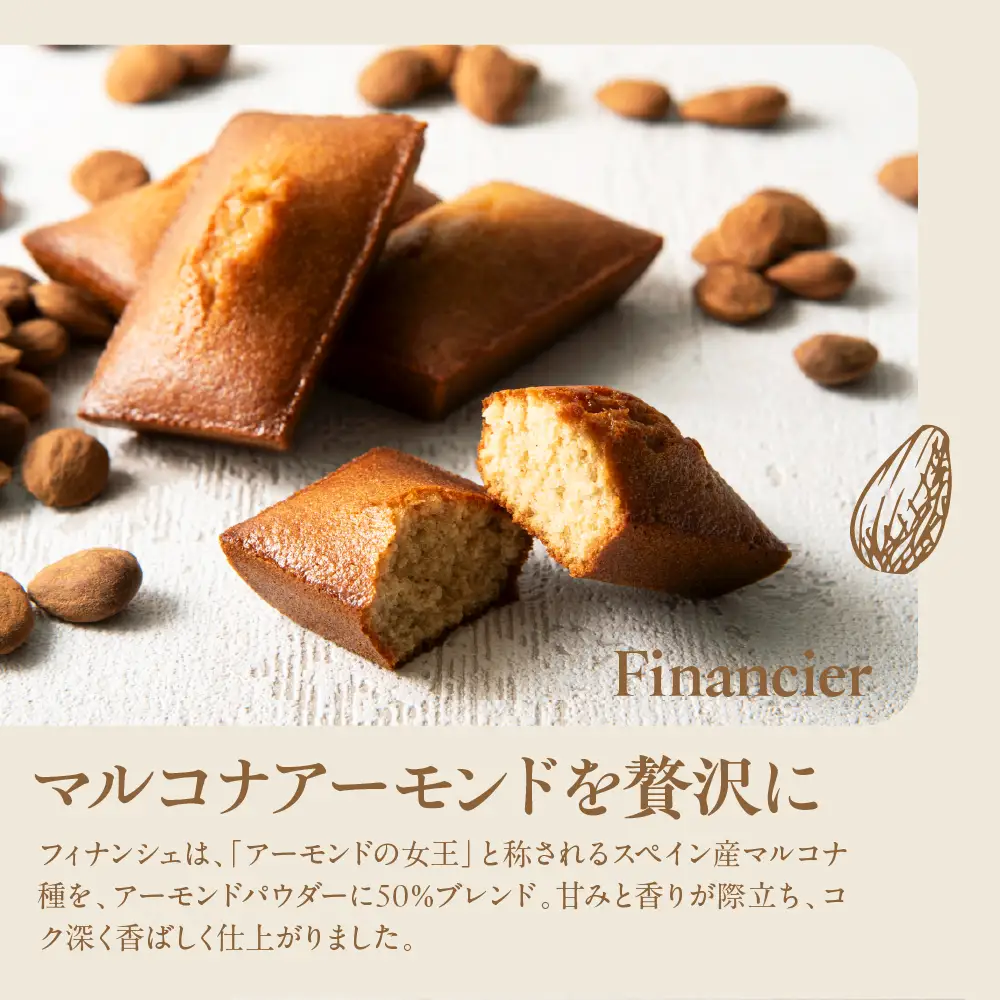 ル ココン　発酵バターのマドレーヌ・フィナンシェセット　各5個10個入