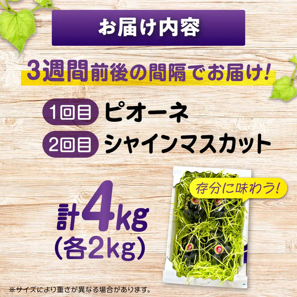 ぶどう【全2回定期便】ピオーネ マスカット 各2kg（計2種）[BAEV014] ぶどう