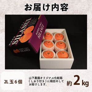 【不知火】 約 2kg (2Lサイズ 6個 ) 不知火 みかん しらぬい
