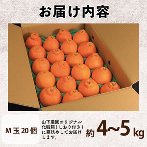 【不知火】 約 4kg から 5kg (Mサイズ 20個) 不知火 みかん しらぬい