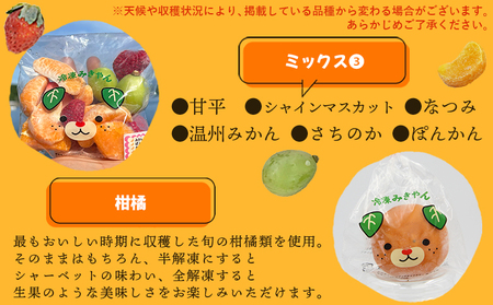 ＜アイスフルーツボックス（ミックス3袋、柑橘5袋） 2回定期便＞ 冷凍みかん 冷凍果実 温州みかん 甘平 ぽんかん せとか いちご ぶどう 果物 くだもの 渡江から一歩を踏み出す会 愛媛県 西予市【冷凍】『お申込み月の翌月より配送を開始します』ATI0038