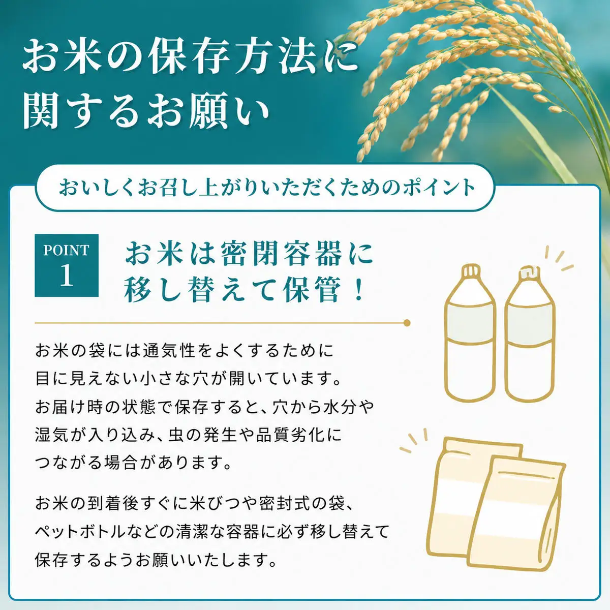 コシヒカリ お米 5kg 精米 定期2ヶ月 コシヒカリ