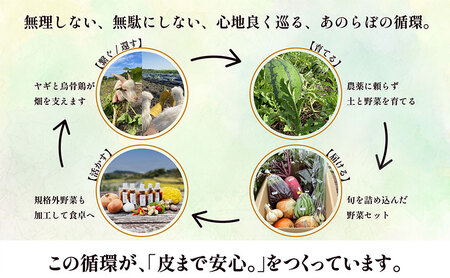 淡路島産「皮まで安心。」玉ねぎ5kg　兵庫県 洲本市 淡路島