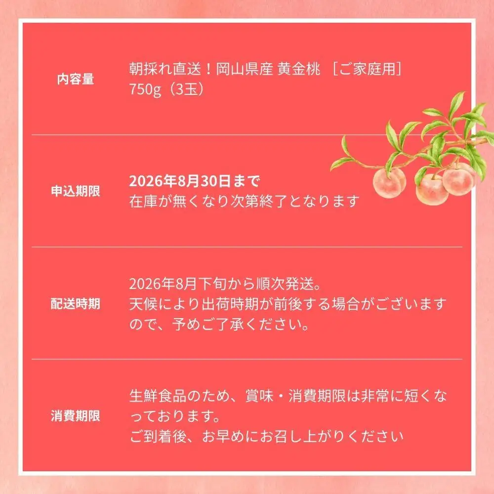 【2026年先行予約】［なんばふぁーむ］岡山県産 黄金桃 750g（3玉）［ご家庭用］【039-a013】