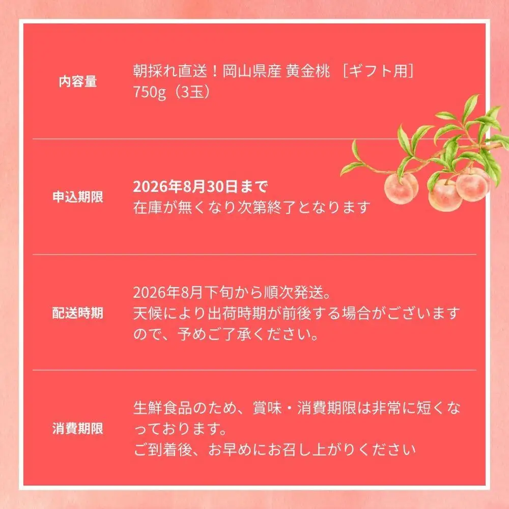 【2026年先行予約】［なんばふぁーむ］岡山県産 黄金桃 750g（3玉）[ギフト用]【039-a014】