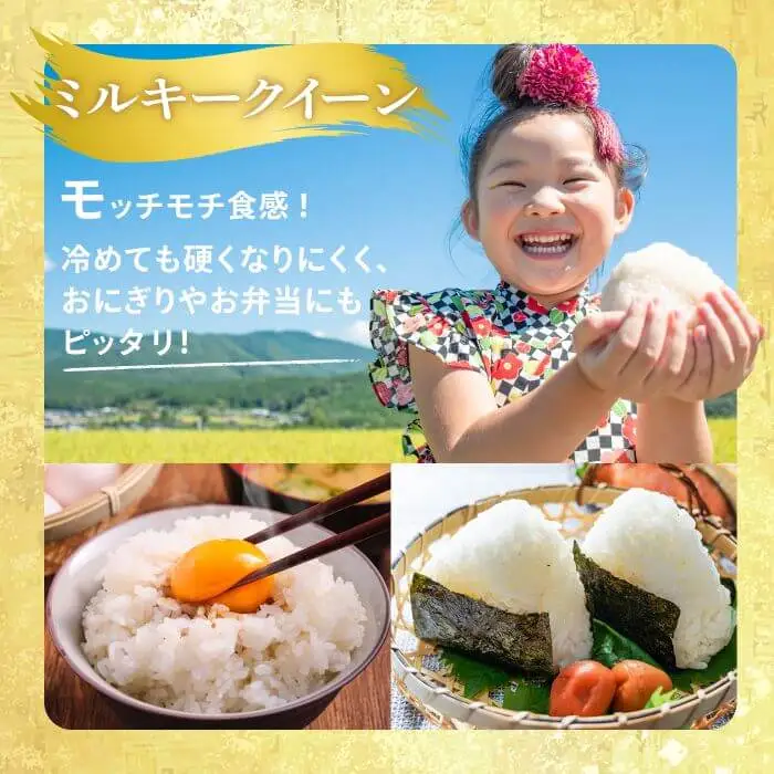≪令和7年産≫ ミルキークイーン 精米 5kg(5kg×1袋) 低アミロース米 登米市産 米 お米 おこめ ごはん ご飯 白米 おにぎり お弁当 5kg 【宮城商事株式会社】tm563