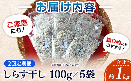 ＜漁師さん自慢のしらす干し 合計500g 2回定期便＞ 定期便 シラス 魚介類 さかな 海産物 海鮮 海の幸 小分け 国産 ご飯のお供 丼 晩酌 おかず 特産品 濱田水産 愛媛県 西予市 【冷凍】『お申込み月の翌月より配送を開始します』AHS0019