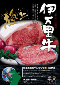 【伊万里牛100%使用】伊万里牛デミハンバーグ（150g×20個）個包装 183-J1888