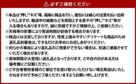 果物詰合せ 合計約1.0kg（シャインマスカット 1房・ニュー ピオーネ 1房）岡山 ぶどう シャインマスカット ニューピオーネ 詰め合わせ 皮ごと 食べられる 種なし【2026年8月下旬～10月下旬発送予定】