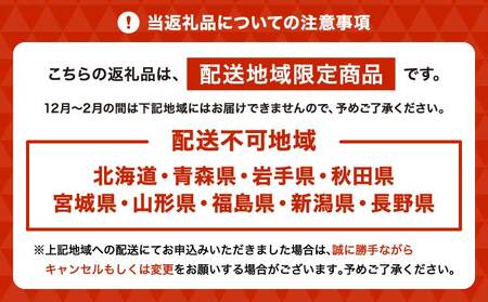 蘭 ミディ胡蝶蘭 華あかり スタンダード 2本立ち