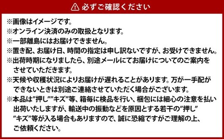 《ご家庭用》 オーロラブラック 2～3房 （合計約1.2kg） ブドウ 葡萄 岡山県産 国産 フルーツ 果物 岡山県 倉敷市 　【2026年8月下旬～9月下旬発送予定】