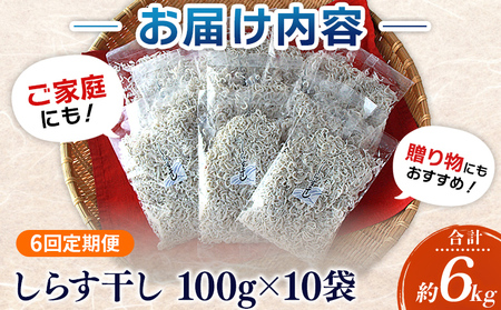 ＜漁師さん自慢のしらす干し 合計1kg 6回定期便＞ 定期便 シラス 魚介類 さかな 海産物 海鮮 海の幸 小分け 国産 ご飯のお供 丼 晩酌 おかず 特産品 濱田水産 愛媛県 西予市 【冷凍】『お申込み月の翌月より配送を開始します』AHS0018