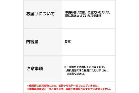 紀州備長炭 インテリア・オブジェ(Lサイズ)【0200-1】