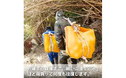 【ふるさと納税】 濃厚! 訳あり 小玉 八朔 / はっさく 甘い 家庭用 柑橘 晩柑 和歌山 / 5kg ※2027年2月下旬～3月下旬頃に順次発送予定【hnk021-s-5】