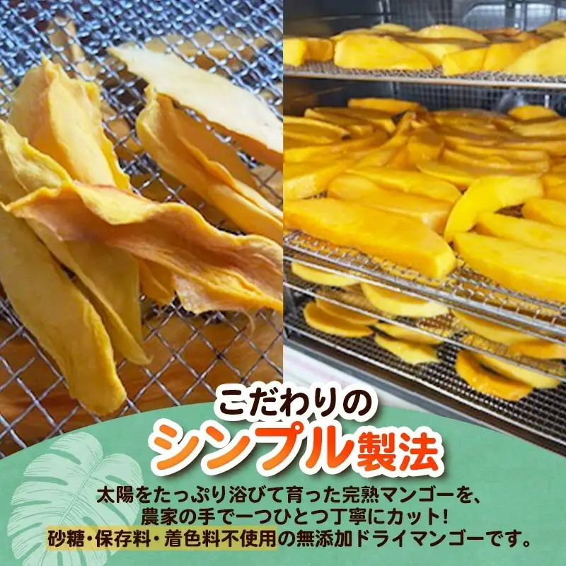 ママチチマンゴーファームの無添加ドライマンゴー（約60g×2セット）- ポストイン配送  産地直送 ドライフルーツ ギフト 沖縄マンゴー 沖縄県 八重瀬町