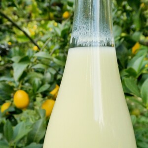 豊島レモン果汁 720ml×6本 果物類 柑橘類 檸檬
