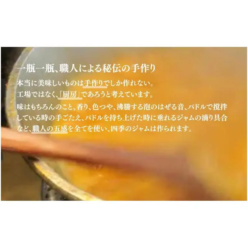 なんこう梅（M）2個セット ジャム 手作り セット 梅 朝食 軽食 上田市