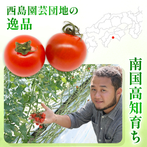 【フルティカトマト】トマト 2kg 先行予約