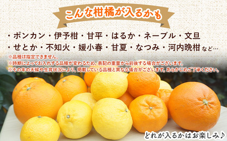 ＜笑丸のお楽しみ柑橘福袋（家庭用）約5kg＋500g＞感謝企画 自宅用 訳あり 果物 くだもの フルーツ ミカン みかん 蜜柑 高級柑橘 詰め合わせ 春柑橘 春みかん 夏柑橘 特産品 笑丸 愛媛県 西予市 常温『2026年1月～5月に順次出荷予定』AAN0082