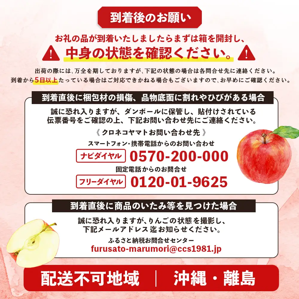 【先行予約】《2026年12月上旬～12月下旬出荷》宮城県丸森町産　葉とらずふじりんご　14～18個入り（約5kg）　1箱【48001】