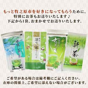【2026年10月発送】 お米 つきあかり 米 5kg お茶 セット つきあかり 