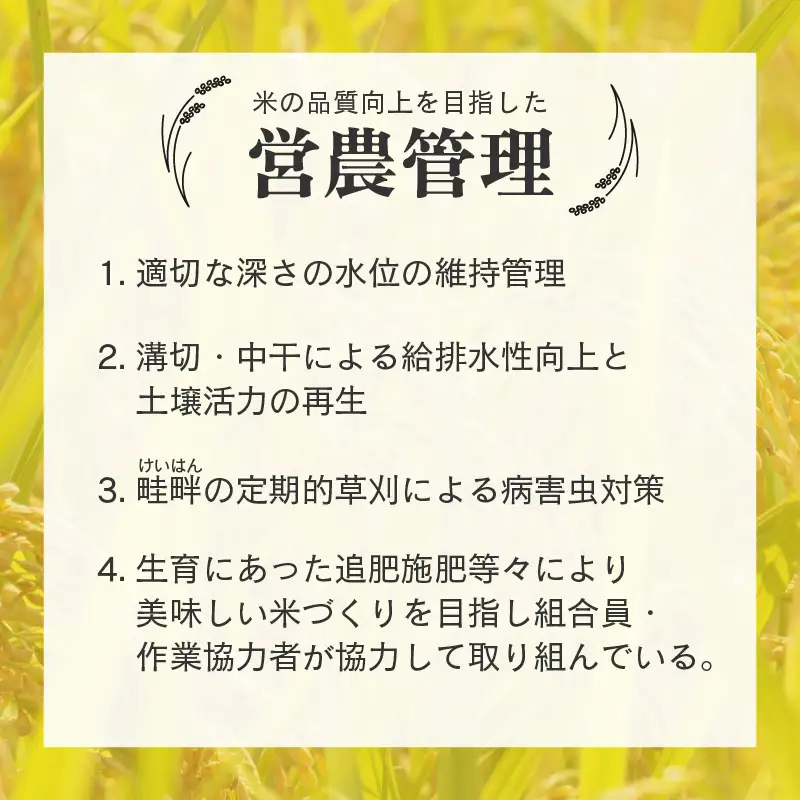 【先行予約】【令和8年産 新米】【一等米】定期便 ≪12ヶ月連続お届け≫ エコ栽培コシヒカリ  玄米5kg×12回 計60kg ／ 鮮度抜群 福井県産 こしひかり ご飯 新鮮 玄米 ※2026年10月上旬以降順次発送 [aw063-j006]