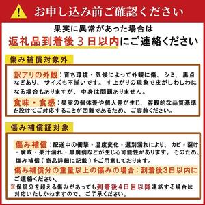甘夏 10kg 甘夏 山口農園