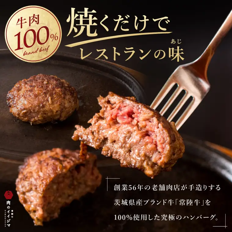 9ヶ月 定 期便 肉 常陸牛ハンバーグ100g×10個 計1kg × 9回 セット 肉のイイジマ（DU-159）