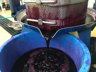 ワイン 日本ワイン やまぶどうワイン 山紫 720ml 1本 長野県 伊那市【012-70】