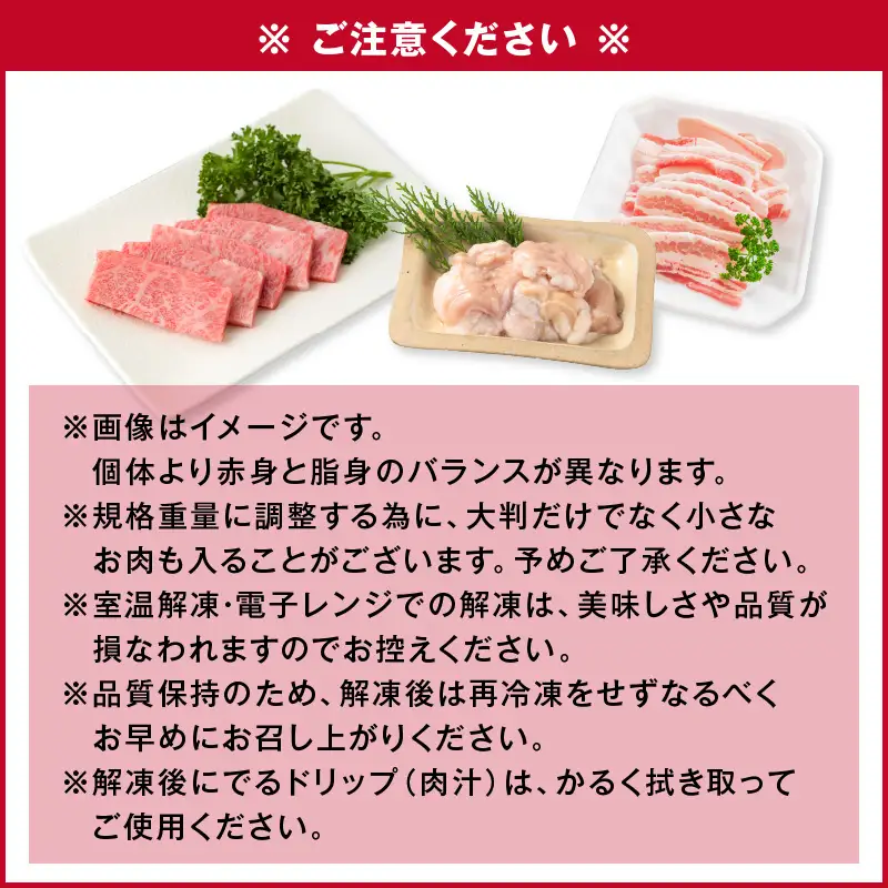 【 A5和牛 ・ 豚 ・ ホルモン 】焼肉セット900g K002-055 豚肉 豚バラ 牛肉 黒毛和牛