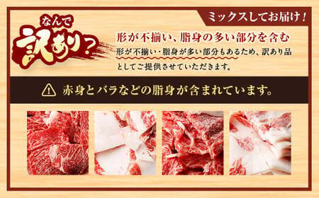 【訳あり】博多和牛 切落し 800g 切り落とし 牛肉 400g×2パック 福岡県 遠賀町