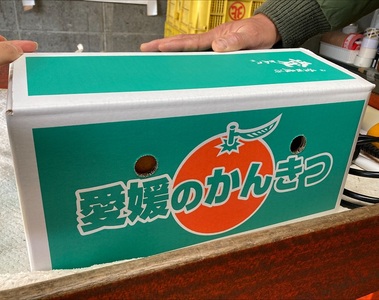 【2027年先行予約】不知火 5kg ご家庭用 農園直送 先行予約 2027年4月発送 愛媛 数量限定 愛媛県産 人気 柑橘 伊予市｜B536
