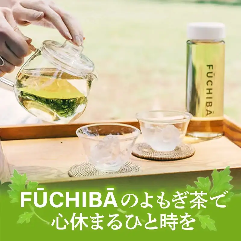 【ポストイン配送】 沖縄県八重瀬町産 よもぎ茶 12包 「FUCHIBA（フーチバー）」 ノンカフェイン 手摘み 栽培期間中無農薬 無肥料 / 布都天堂