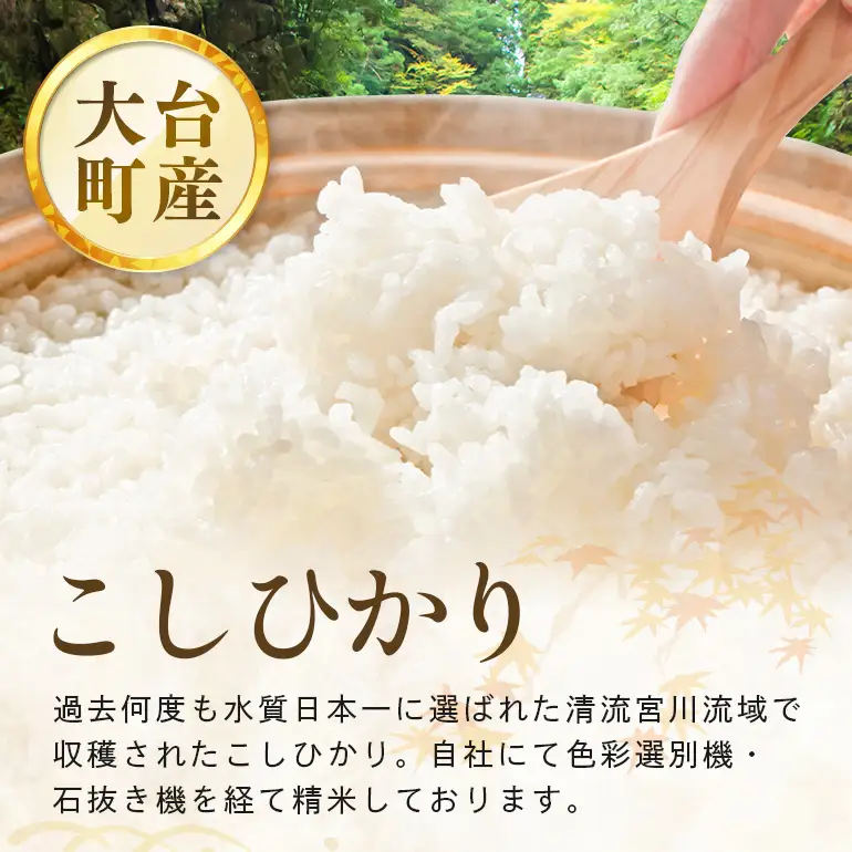 令和8年度産 こしひかり 玄米 2kg 真空パック A17-021