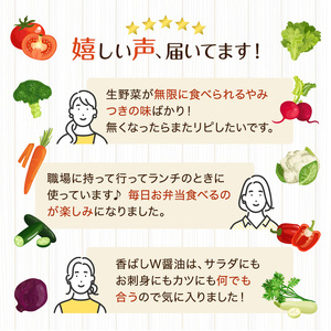 野菜村ドレッシング ミニボトルコレクション B 各100ml 各1本 合計14本 ドレッシング 調味料 静岡 浜松市