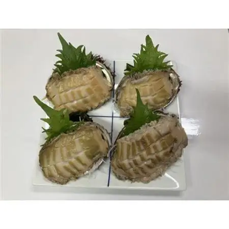 三陸小本浜産冷凍天然あわび　800g(8個入り)【配送不可地域：離島】【1717035】
