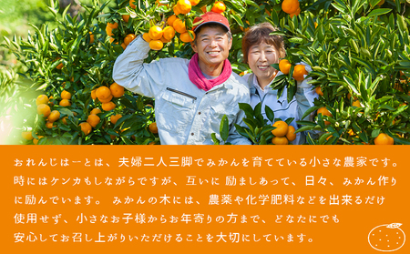 ＜不知火 訳あり 約2kg＞ 柑橘 みかん ミカン 蜜柑 果物 くだもの フルーツ しらぬい シラヌイ デコポン でこぽん 訳アリ ご自宅用 国産 愛媛産 特産品 おれんじはーと 食べて応援 西宇和 愛媛県 西予市【常温】『2026年3月上旬～3月下旬に順次出荷予定』MOH0016