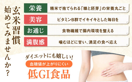 玄米 令和7年産 はるみ 5kg 玄米 [BDBF003-1]