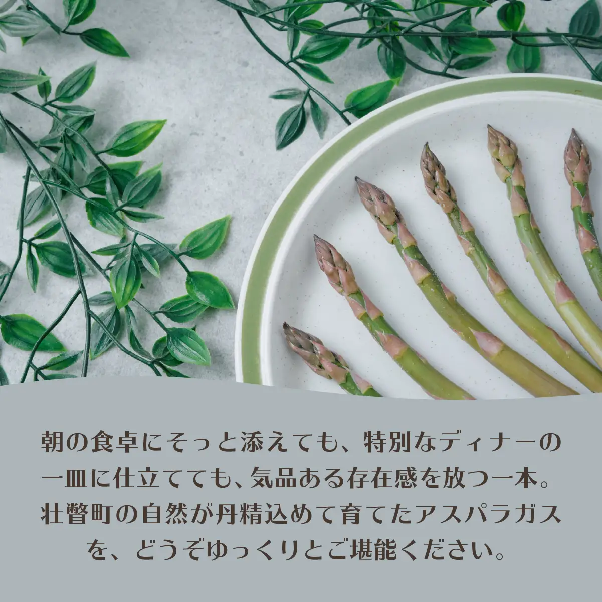 【先行予約】【2027年4月中旬頃より発送】朝採りグリーンアスパラ（春芽）M-L混合 約3kg 北海道壮瞥町産 SBTAJ035