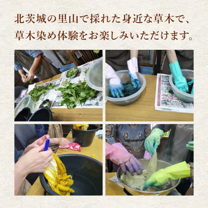 【染物選択・持ち込み可】里山の草木染め体験【体験 染物 持ち込み 自然 チケット 工房 北茨城市 茨城県】(DJ002)