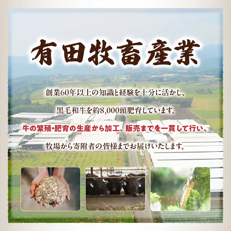 宮崎牛入有田ハンバーグ150g×5個と万能切落し500g |宮崎牛 和牛 黒毛和牛 国産牛 牛肉 ハンバーグ 牛100％ ハンバーグステーキ 切り落とし 切落し 万能切落し 霜降り 赤身 混在 有田牧畜 エモ―牛 ハンバーグセット セット商品 詰め合わせ 家族向け 家庭用 夕食 冷凍 小分け 500g 150g 食べ比べ 人気 TV紹介 ふるさと納税 返礼品 宮崎県 高千穂町|_Tk055-002