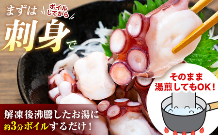 タコ 三昧 ( 120g × 5袋入 ) 冷凍 たこ足 タコ 蛸 小分け 真空パック 海鮮 新鮮 魚介 海の幸 海産物 刺身 国産 シーフードエム・エム 愛知県 南知多町