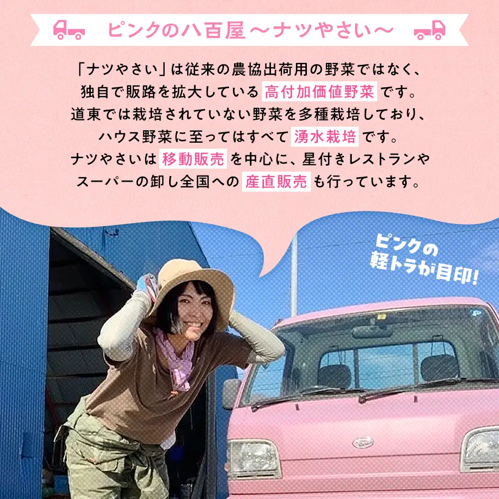 【先行受付】R8年産 トウモロコシ（ゴールドラッシュ） 10本から12本 ピンクの八百屋 ナツやさい | とうもろこし トウモロコシ ゴールドラッシュ 旬 新鮮 野菜 夏 甘い 産地直送 北海道 津別町 送料無料 