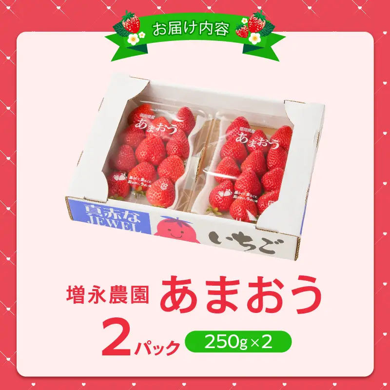 【2027年1月より順次発送】増永農園　福岡県産あまおう　250g×2パック_ あまおう いちご 〔Fi080-02〕