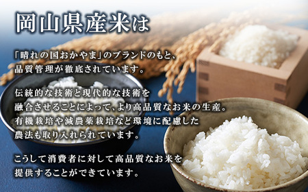 【期間限定寄附額】最高評価「特A」令和7年産 岡山県産米「 にこまる」 10kg　＜9月発送＞
