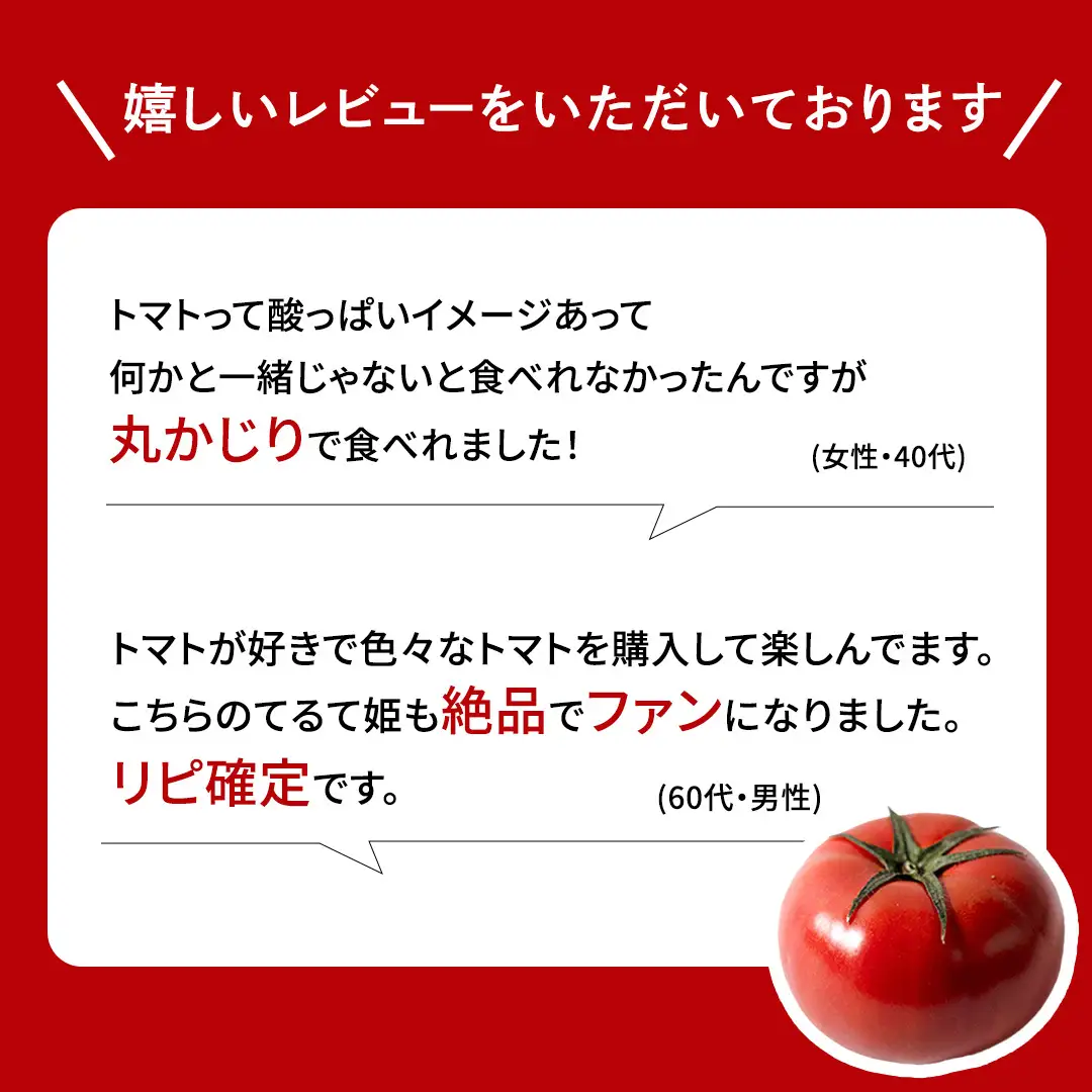 【母の日専用】 スーパーフルーツトマト てるて姫 中箱 約1.2kg ×1箱 糖度9度以上 《5月3日～9日お届け メッセージカード付》
