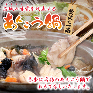 五浦観光ホテル宿泊ご利用券【50,000円分】【宿泊券 お食事券 あんこう鍋 チケット 観光 旅行 温泉 北茨城市 茨城県】(DI002)