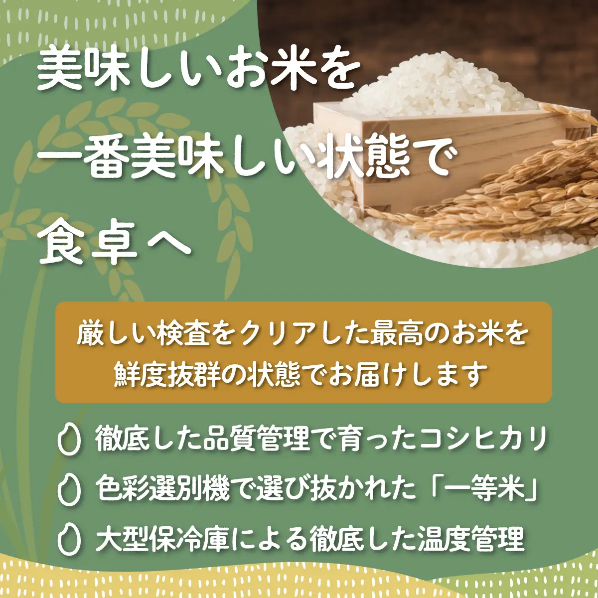 【10月中旬以降発送/令和8年産 新米】【3カ月定期便】【福島会津産】雪の恵み米こしひかり5kg×3回 KBAJ002
