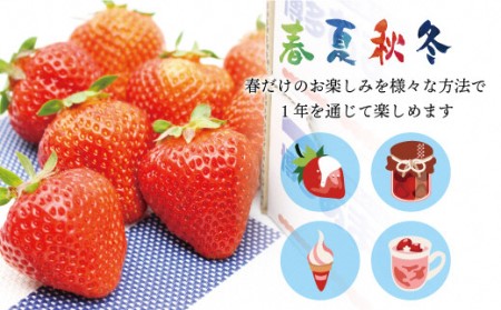 冷凍「博多あまおう」800g×5袋　計4kg[H4004]