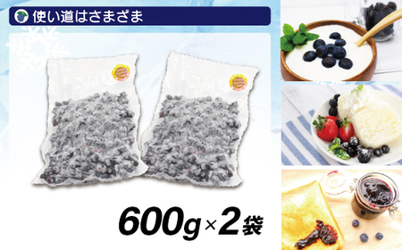 急速冷凍！栽培期間中農薬不使用ブルーベリー600g×2パック　計1.2kg[H4005]